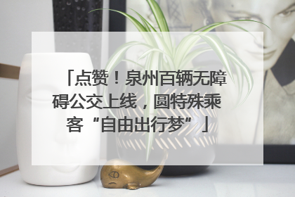 点赞！泉州百辆无障碍公交上线，圆特殊乘客“自由出行梦”