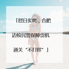 烈日炙烤，合肥边检民警保障货机通关“不打烊”