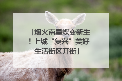 烟火南星蝶变新生！上城“复兴”美好生活街区开街