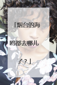 烟台的海鸥都去哪儿了？