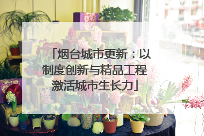 烟台城市更新：以制度创新与精品工程激活城市生长力