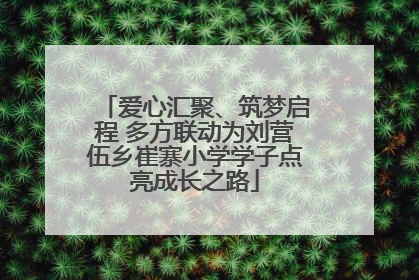 爱心汇聚、筑梦启程 多方联动为刘营伍乡崔寨小学学子点亮成长之路