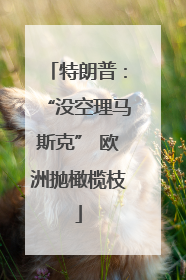 特朗普：“没空理马斯克” 欧洲抛橄榄枝
