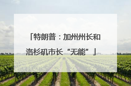 特朗普：加州州长和洛杉矶市长“无能”