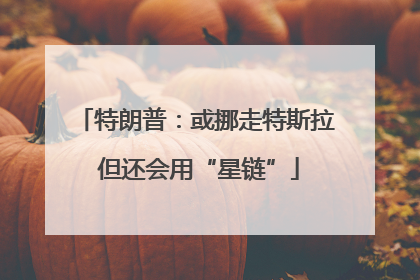 特朗普：或挪走特斯拉 但还会用“星链”
