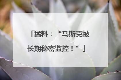 猛料：“马斯克被长期秘密监控！”