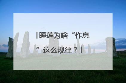 睡莲为啥“作息”这么规律？