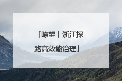 瞭望丨浙江探路高效能治理