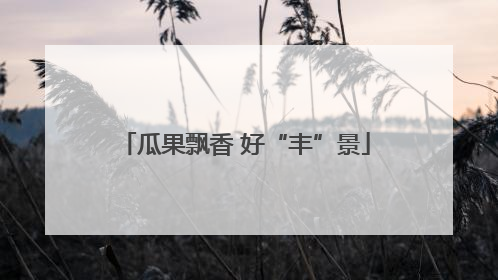 瓜果飘香 好“丰”景