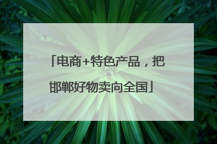 电商+特色产品，把邯郸好物卖向全国