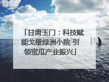 甘肃玉门：科技赋能戈壁绿洲小院 引领蜜瓜产业振兴