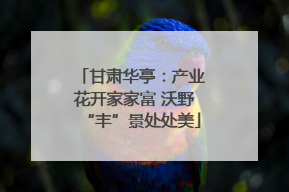 甘肃华亭：产业花开家家富 沃野“丰”景处处美