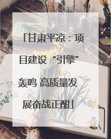 甘肃平凉：项目建设“引擎”轰鸣 高质量发展奋战正酣