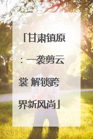 甘肃镇原：一袭剪云裳 解锁跨界新风尚