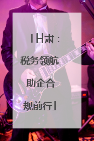 甘肃：税务领航 助企合规前行