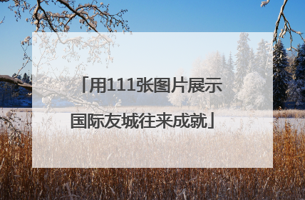 用111张图片展示国际友城往来成就