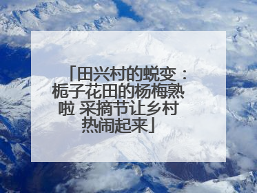 田兴村的蜕变：栀子花田的杨梅熟啦 采摘节让乡村热闹起来