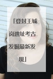 登封王城岗遗址考古发掘最新发现