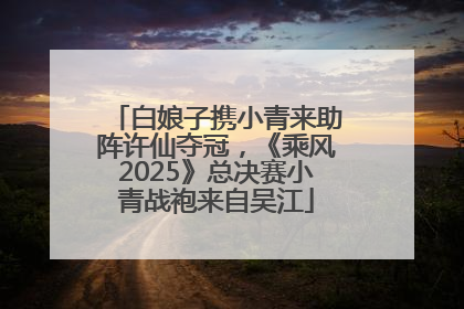 白娘子携小青来助阵许仙夺冠，《乘风2025》总决赛小青战袍来自吴江