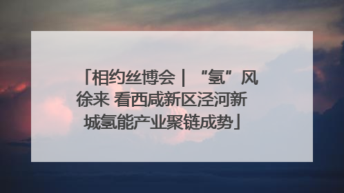相约丝博会｜“氢”风徐来 看西咸新区泾河新城氢能产业聚链成势