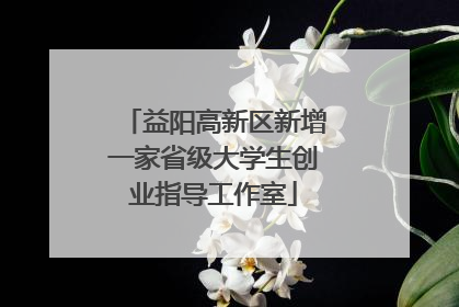 益阳高新区新增一家省级大学生创业指导工作室