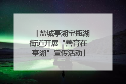 盐城亭湖宝瓶湖街道开展“善育在亭湖”宣传活动