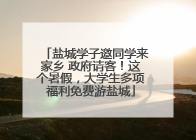 盐城学子邀同学来家乡 政府请客！这个暑假，大学生多项福利免费游盐城