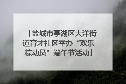 盐城市亭湖区大洋街道育才社区举办“欢乐粽动员”端午节活动