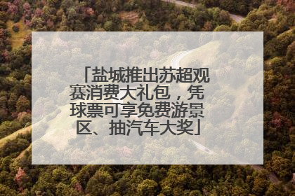 盐城推出苏超观赛消费大礼包，凭球票可享免费游景区、抽汽车大奖