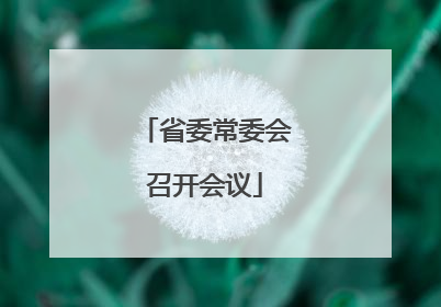 省委常委会召开会议
