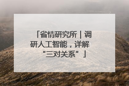 省情研究所｜调研人工智能，详解“三对关系”