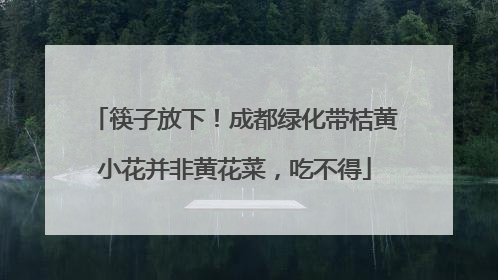 筷子放下！成都绿化带桔黄小花并非黄花菜，吃不得