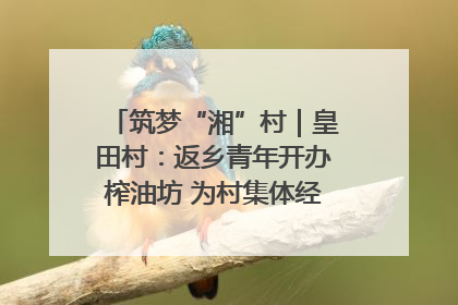筑梦“湘”村｜皇田村：返乡青年开办榨油坊 为村集体经济“加油”