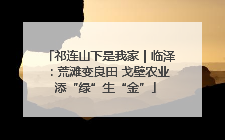 祁连山下是我家｜临泽：荒滩变良田 戈壁农业添“绿”生“金”