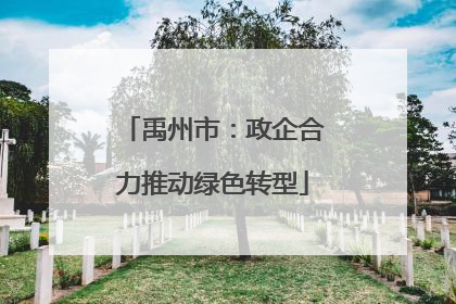 禹州市：政企合力推动绿色转型