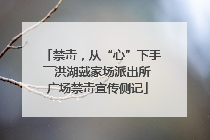 禁毒，从“心”下手――洪湖戴家场派出所广场禁毒宣传侧记