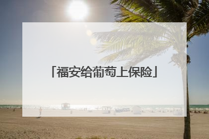 福安给葡萄上保险