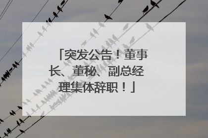 突发公告！董事长、董秘、副总经理集体辞职！