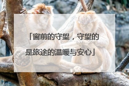 窗前的守望，守望的是旅途的温暖与安心