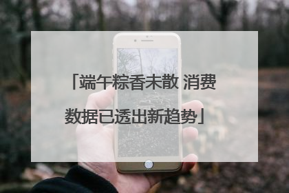 端午粽香未散 消费数据已透出新趋势