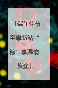 端午佳节至阜新站“粽”享温情旅途