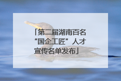 第二届湖南百名“国企工匠”人才宣传名单发布
