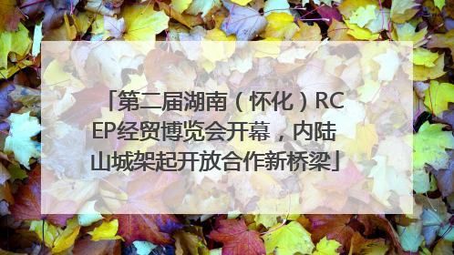 第二届湖南（怀化）RCEP经贸博览会开幕，内陆山城架起开放合作新桥梁