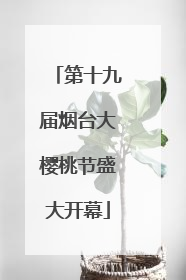 第十九届烟台大樱桃节盛大开幕