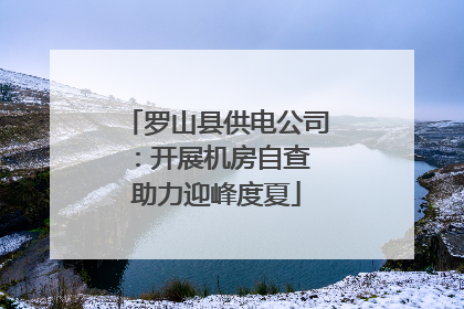 罗山县供电公司：开展机房自查 助力迎峰度夏