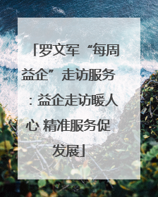 罗文军“每周益企”走访服务：益企走访暖人心 精准服务促发展