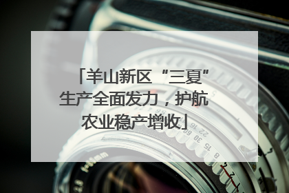 羊山新区“三夏”生产全面发力，护航农业稳产增收