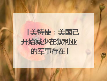 美特使：美国已开始减少在叙利亚的军事存在