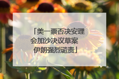 美一票否决安理会加沙决议草案 伊朗强烈谴责
