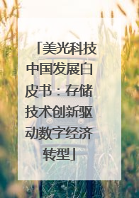 美光科技中国发展白皮书：存储技术创新驱动数字经济转型